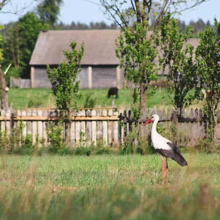 W Lesie Vakantiehuis Teremiski