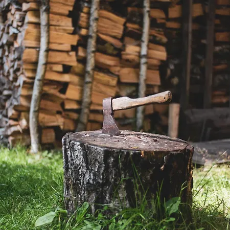 W Lesie Feriehus Teremiski