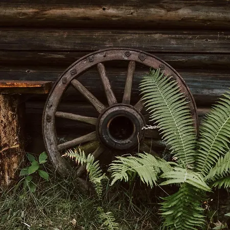 W Lesie Feriehus Teremiski