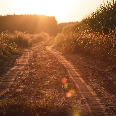 W Lesie Feriehus Teremiski