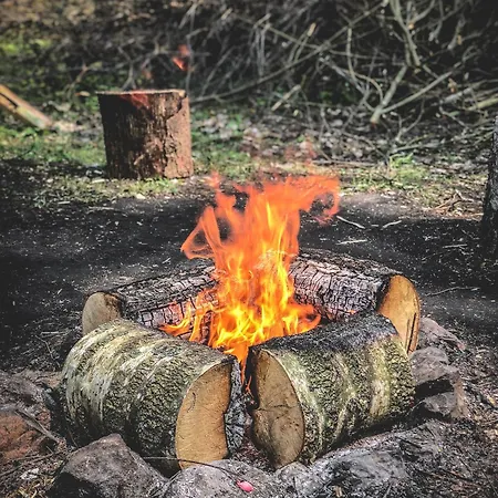 W Lesie Vakantiehuis Teremiski