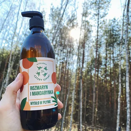 Vakantiehuis W Lesie Teremiski