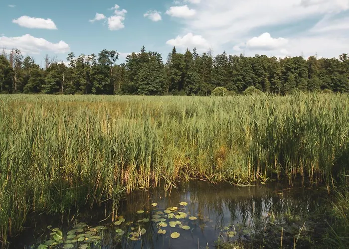 W Lesie Σπίτι διακοπών *