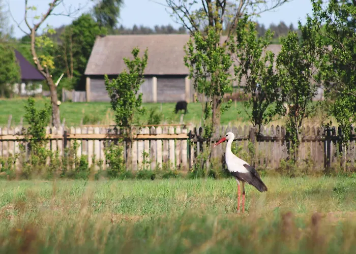 W Lesie Σπίτι διακοπών Teremiski