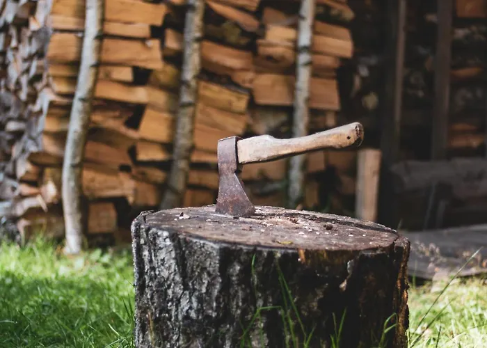 W Lesie Σπίτι διακοπών Teremiski