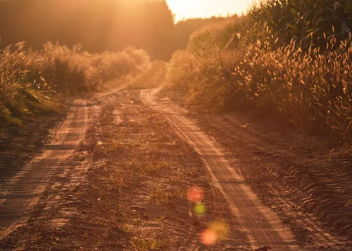 W Lesie Σπίτι διακοπών Teremiski