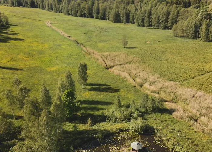 Σπίτι διακοπών W Lesie