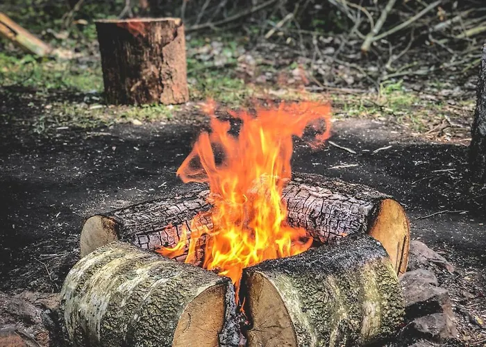 W Lesie Σπίτι διακοπών Teremiski