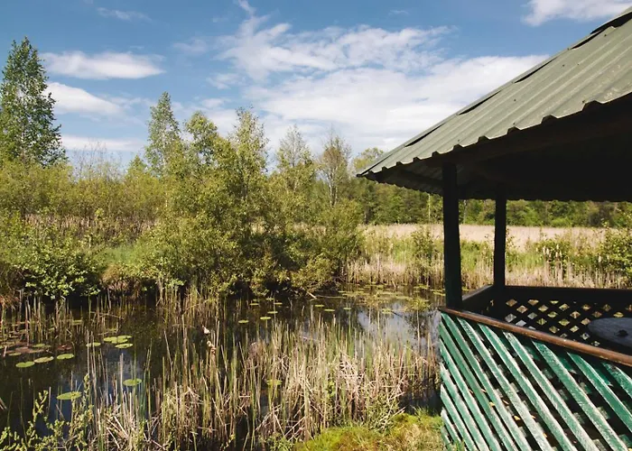 W Lesie Σπίτι διακοπών Teremiski