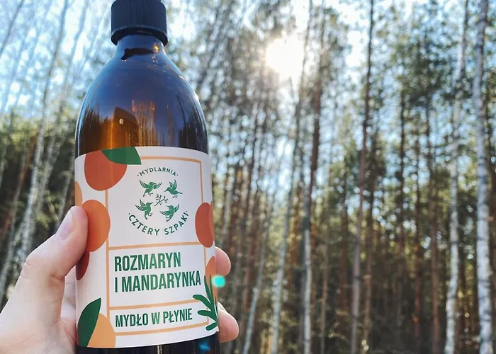 Σπίτι διακοπών W Lesie Teremiski