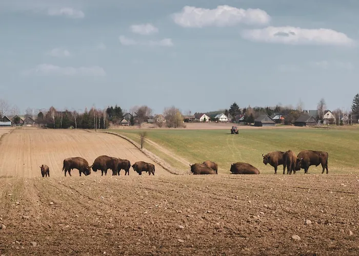 Σπίτι διακοπών W Lesie